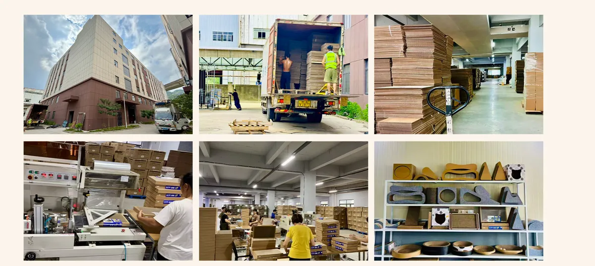 Koorpet factory, packing floor and product showroom